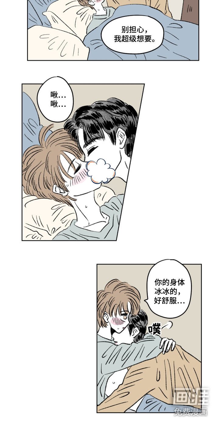 第13章：分量