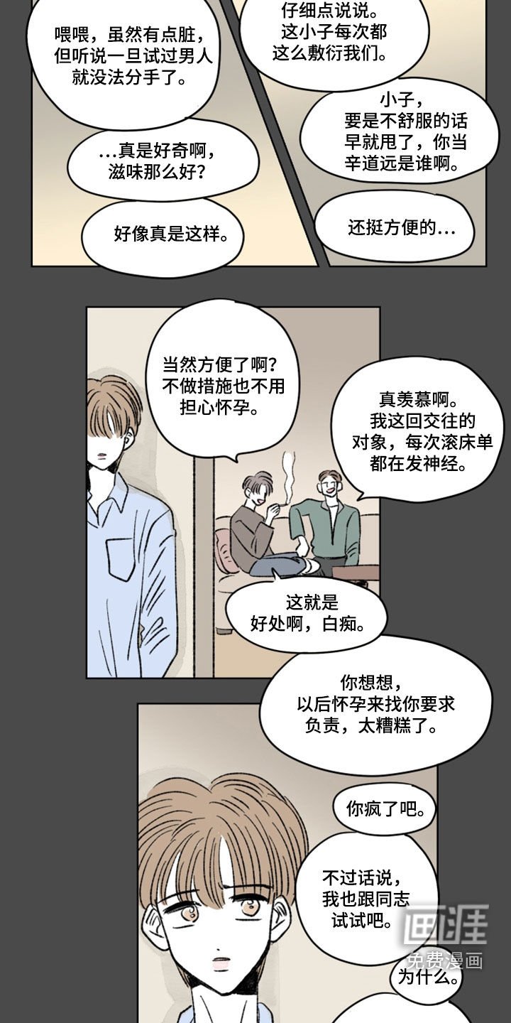 第13章：分量