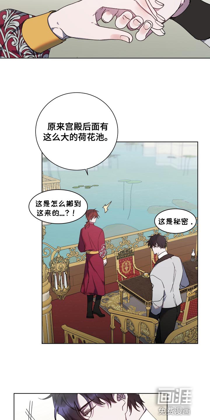 第17章：荷花池