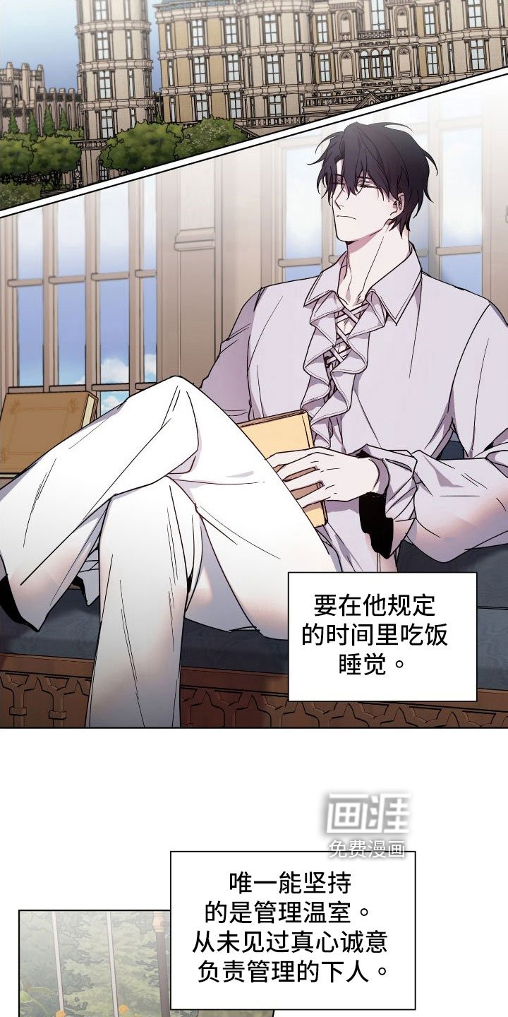 第26章：袭击