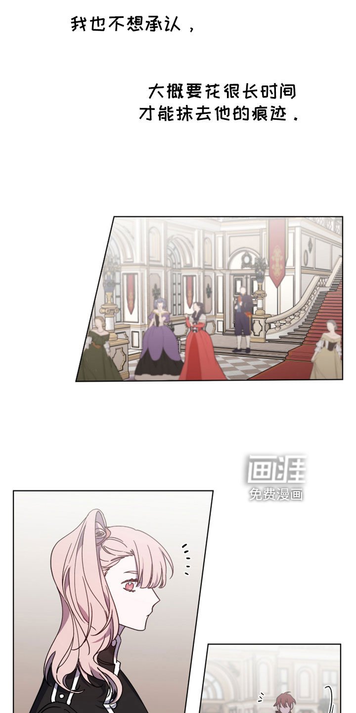 第45章：我的爱人