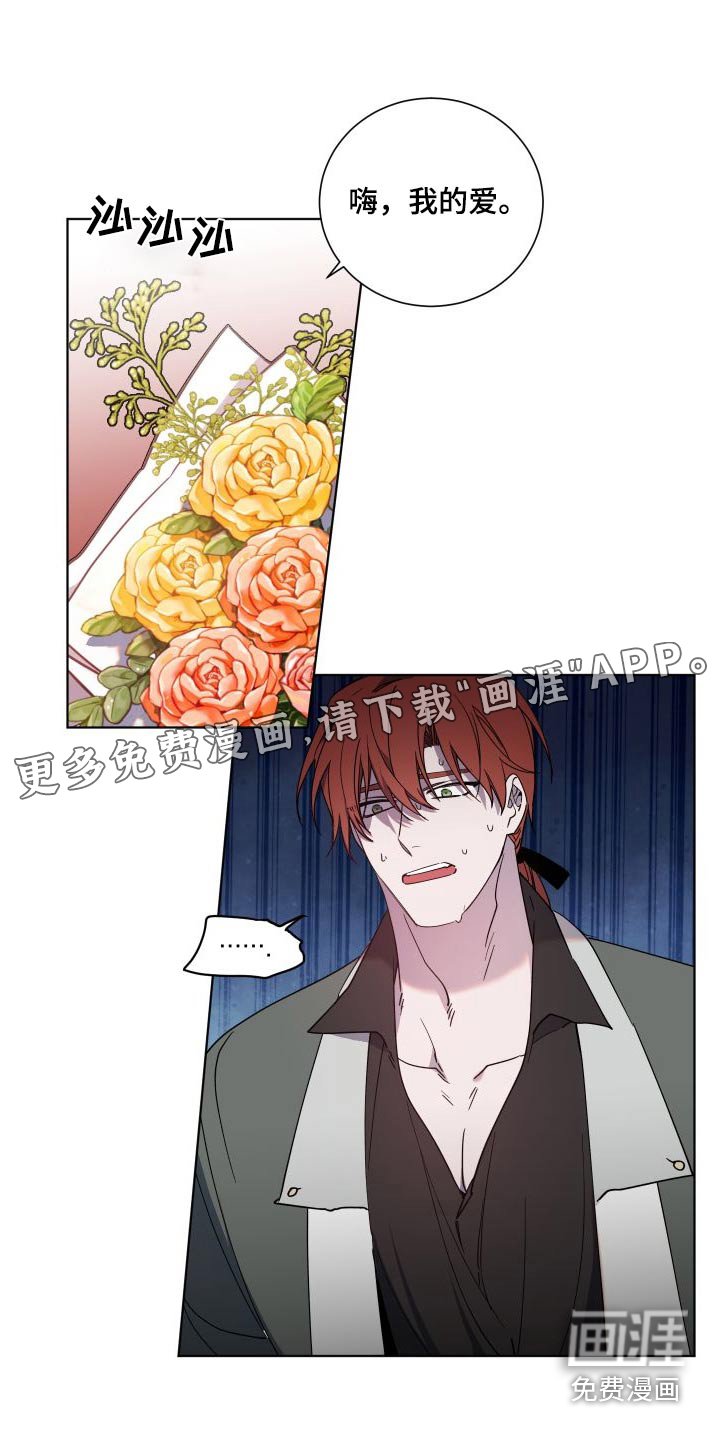 第46章：机会