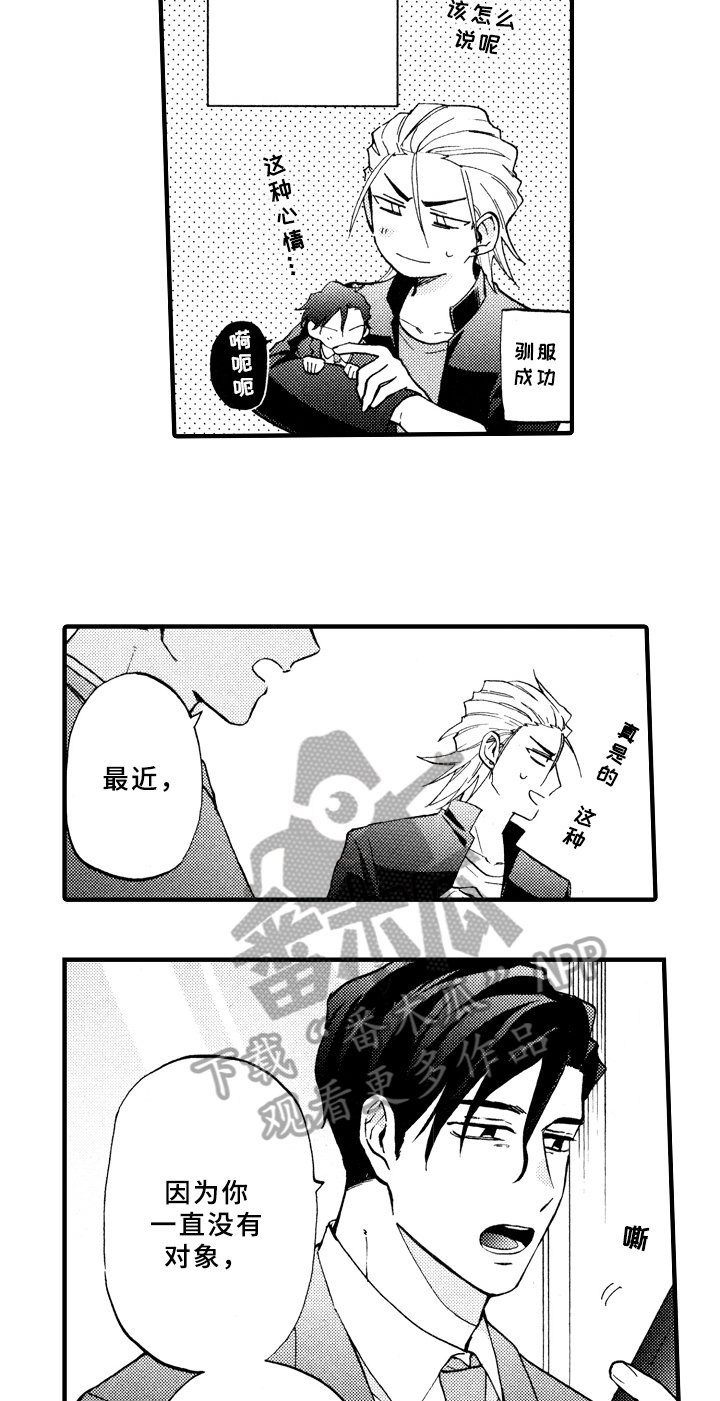 第17章：失误