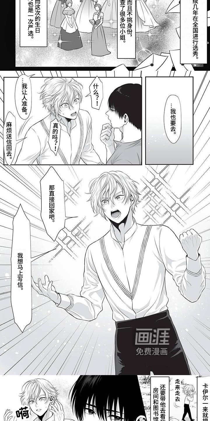 第15章：原因