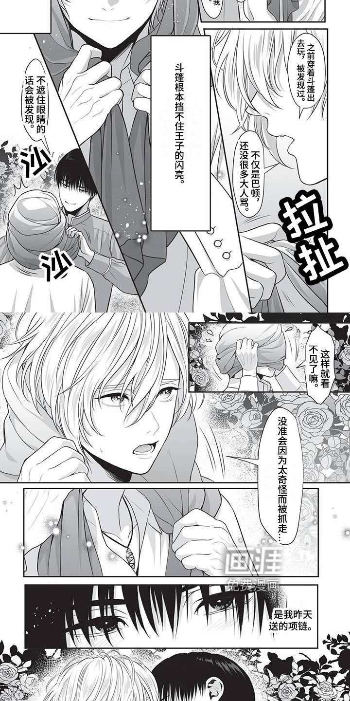 第20章：冒犯