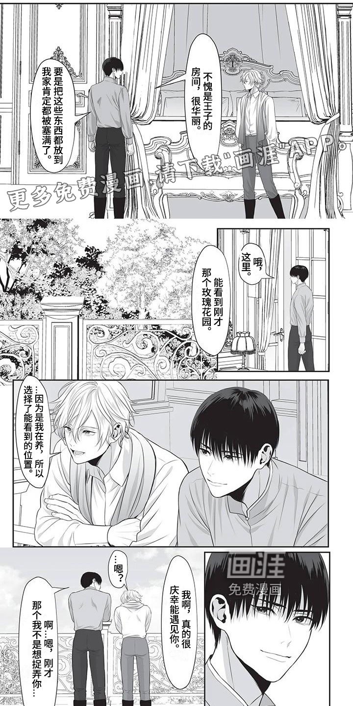 第21章：分别