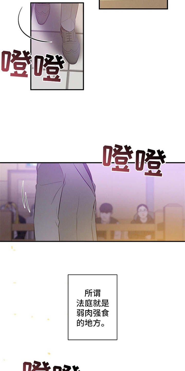 第1章：辩护律师