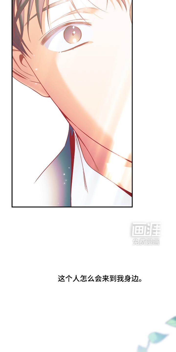 第175章：【第二季】让我安心的人