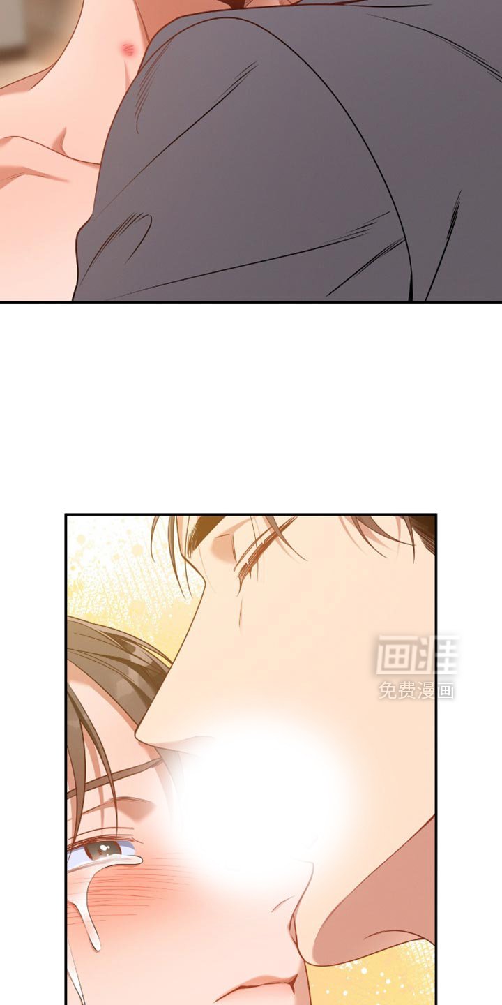 第175章：【第二季】让我安心的人