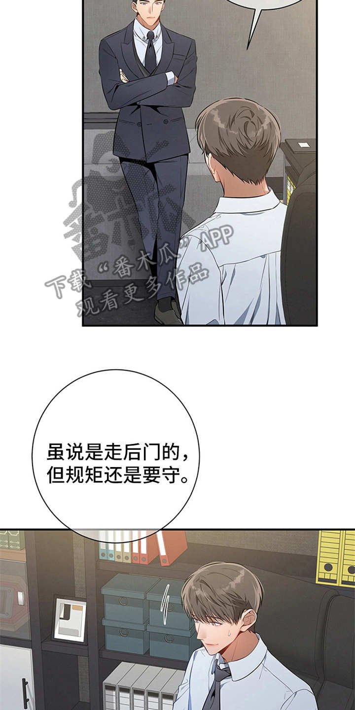 第19章：测试