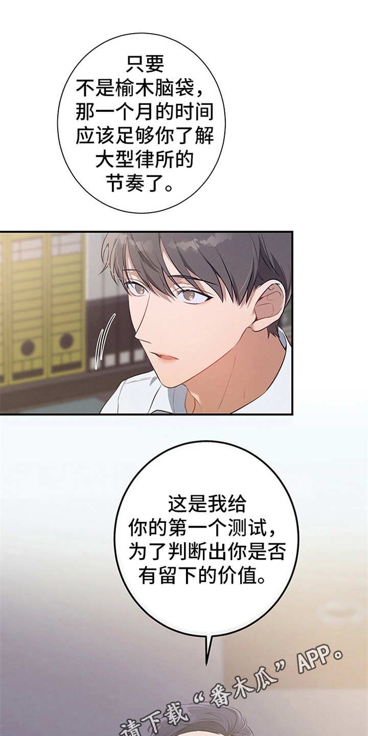 第19章：测试