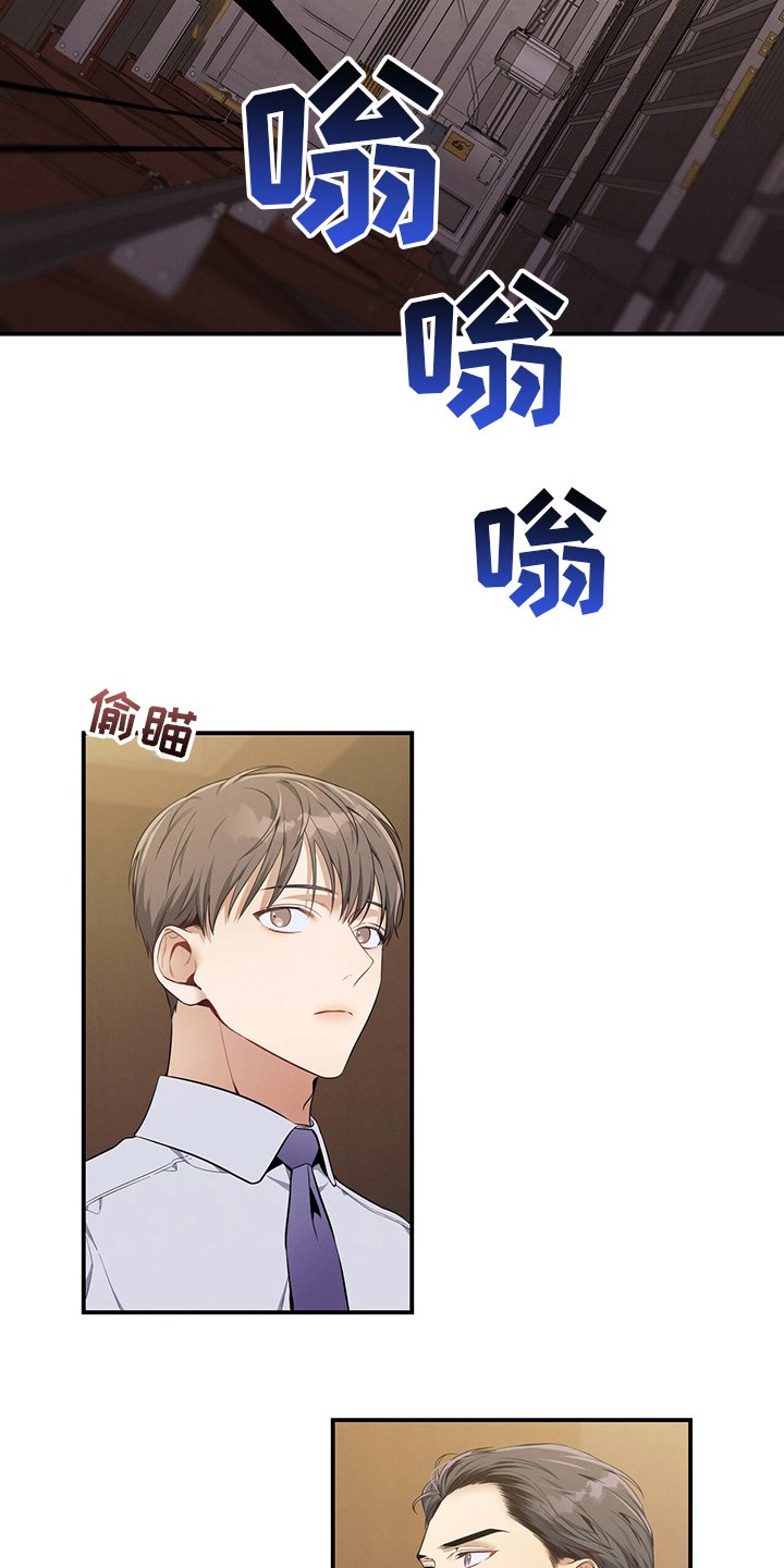 第41章：我看到了