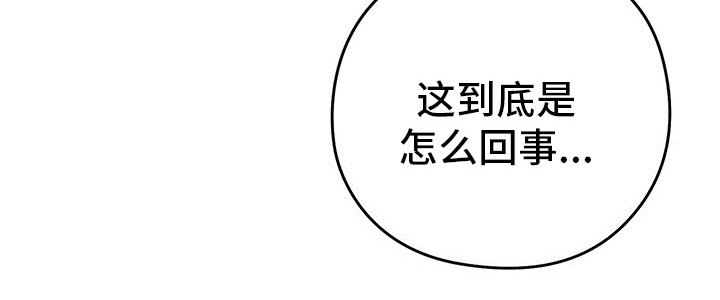 第41章：我看到了