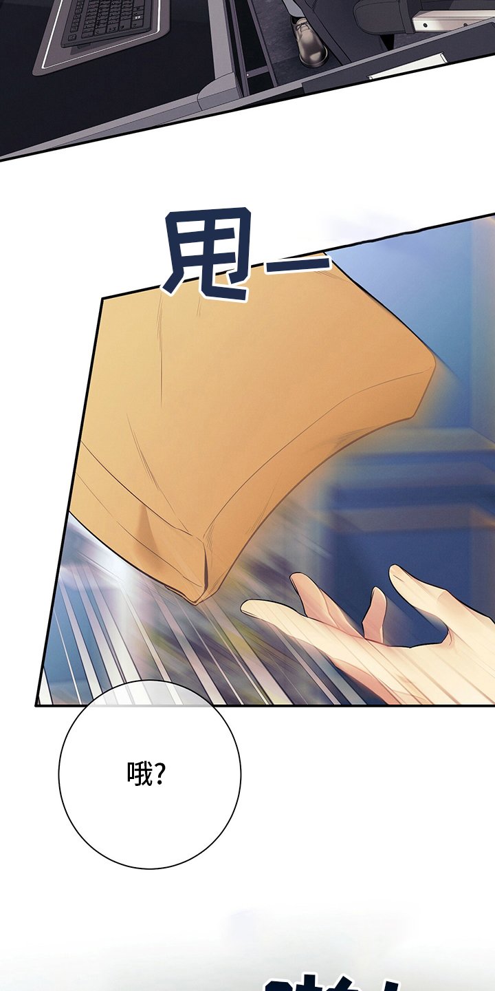 第49章：案子