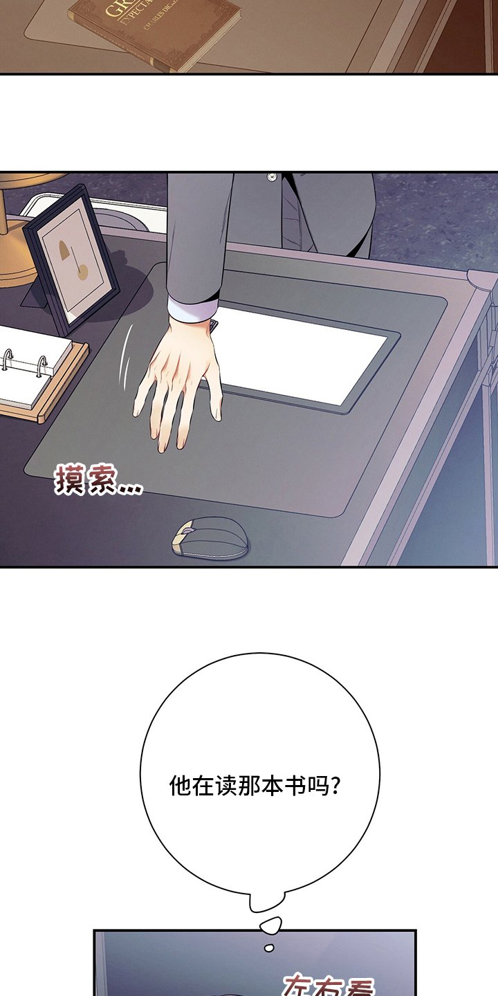第50章：错觉