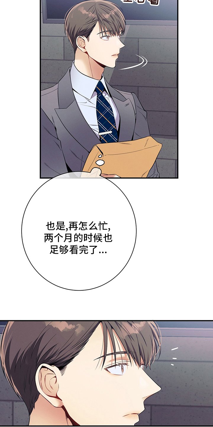 第50章：错觉
