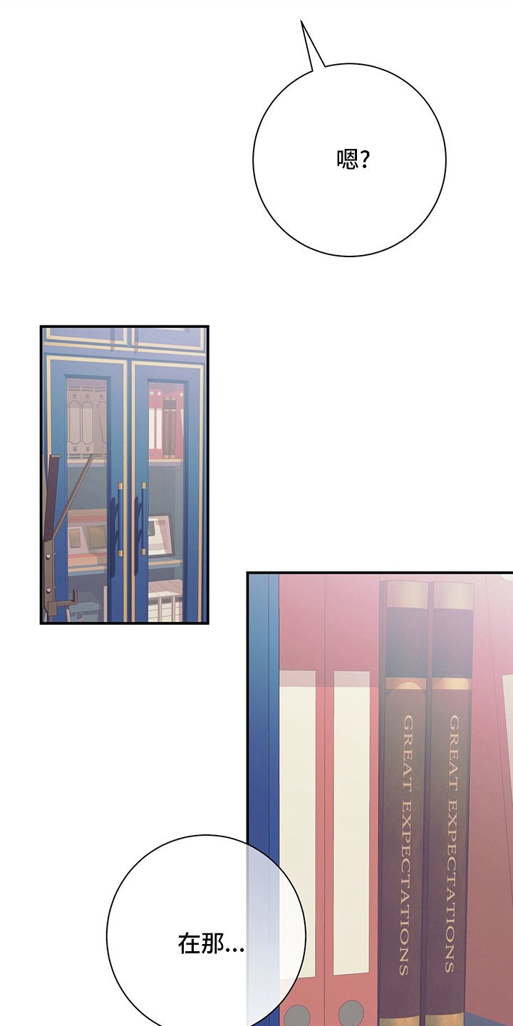 第50章：错觉