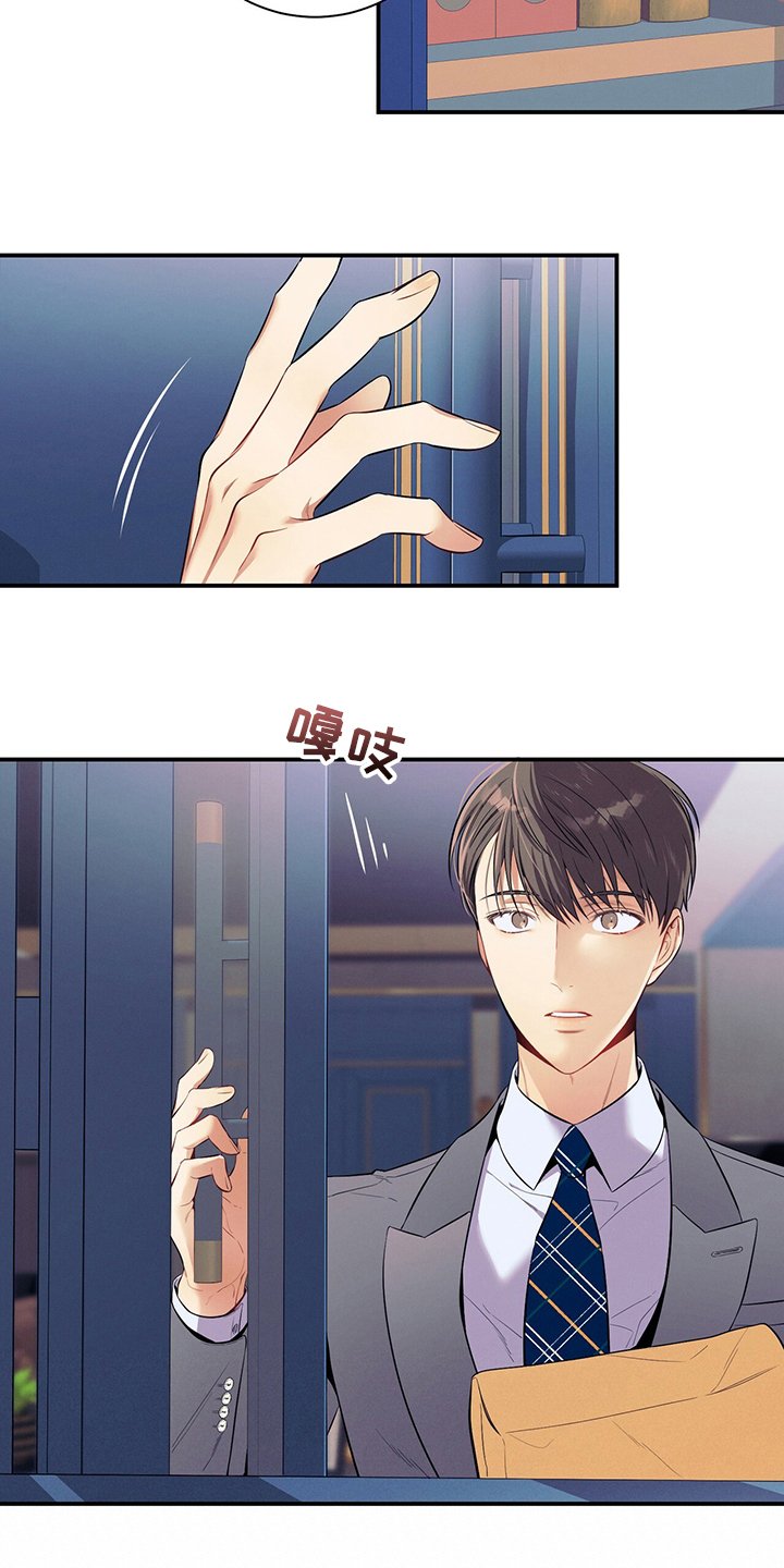 第50章：错觉