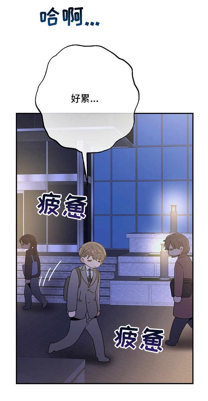 第51章：第二场考试