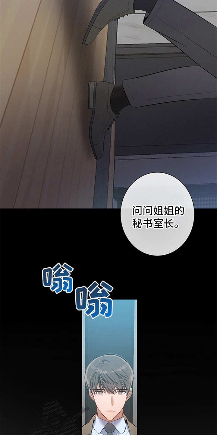 第6章：华丽的履历