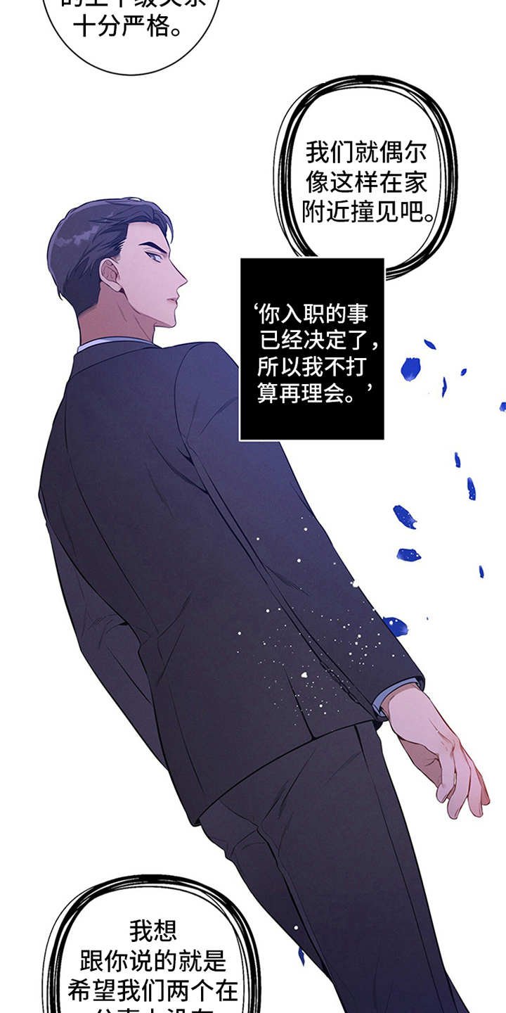 第6章：华丽的履历