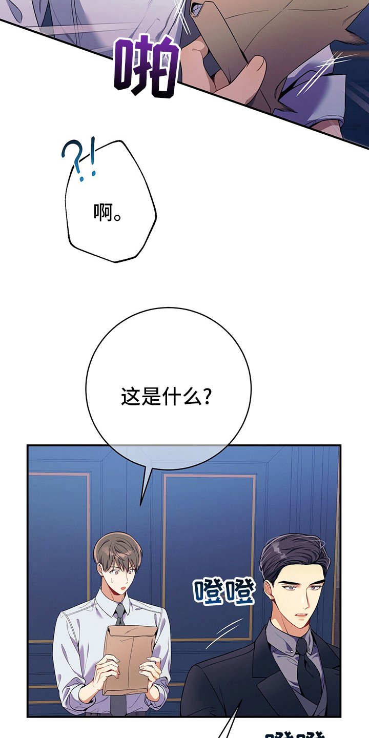 第61章：资料