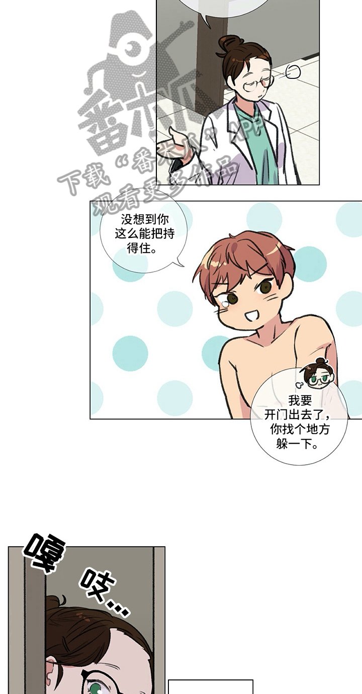 第19章：建议