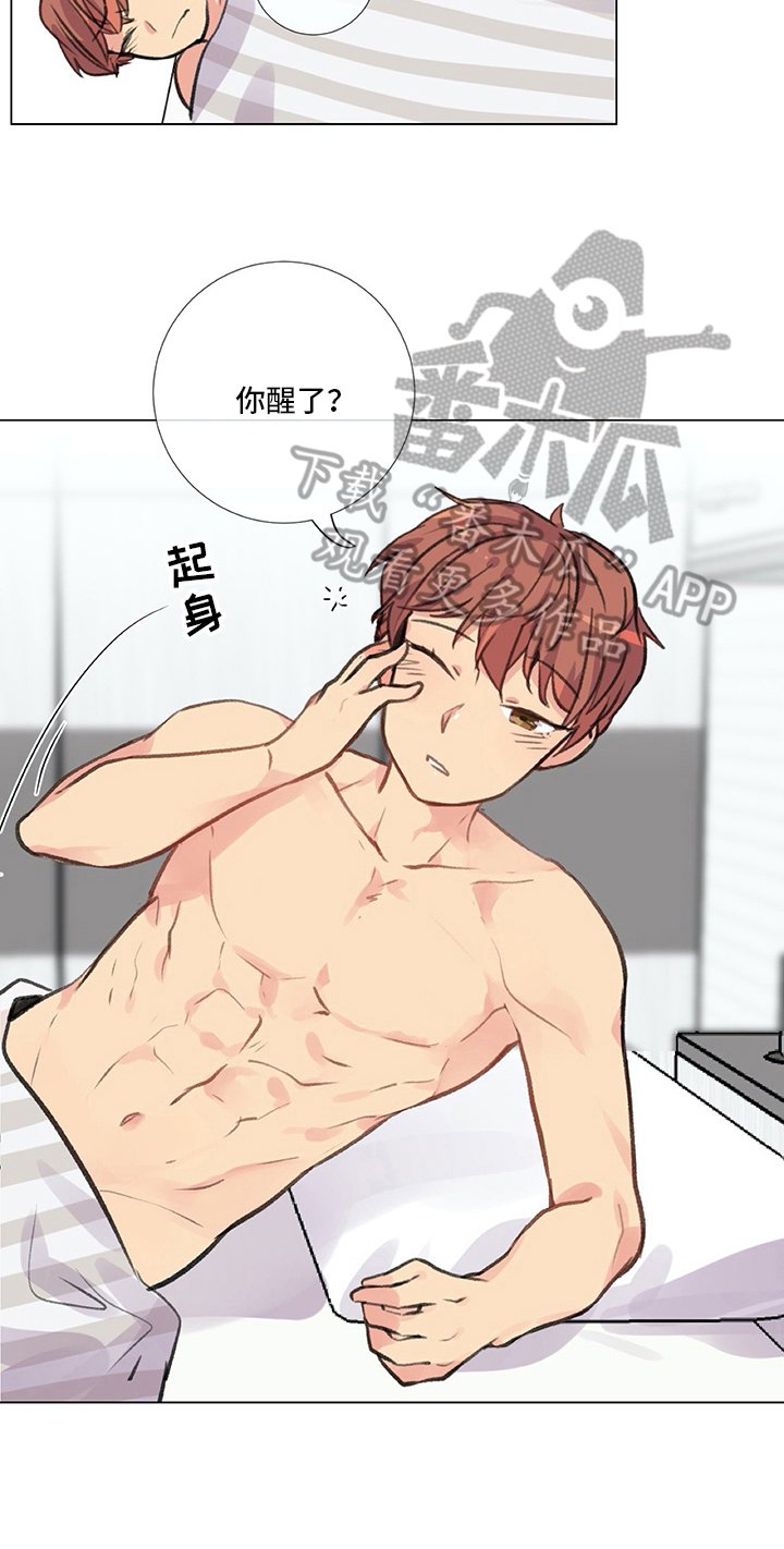 第22章：条件