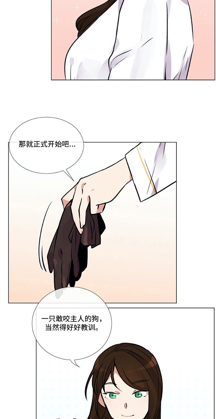 第6章：准备