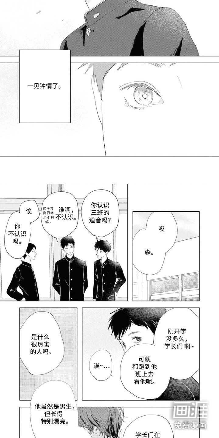 第1章：一见钟情