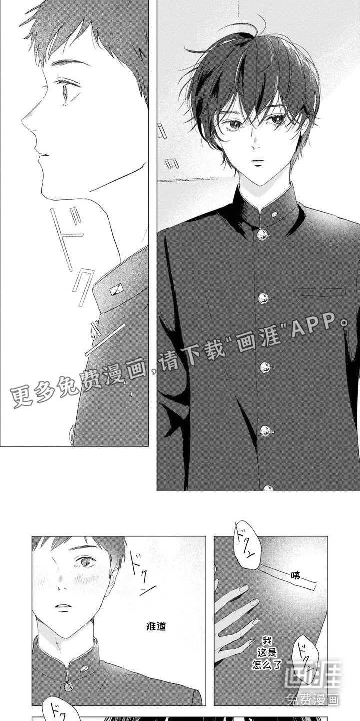 第1章：一见钟情