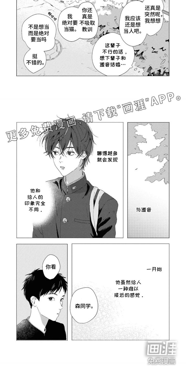 第4章：少年气