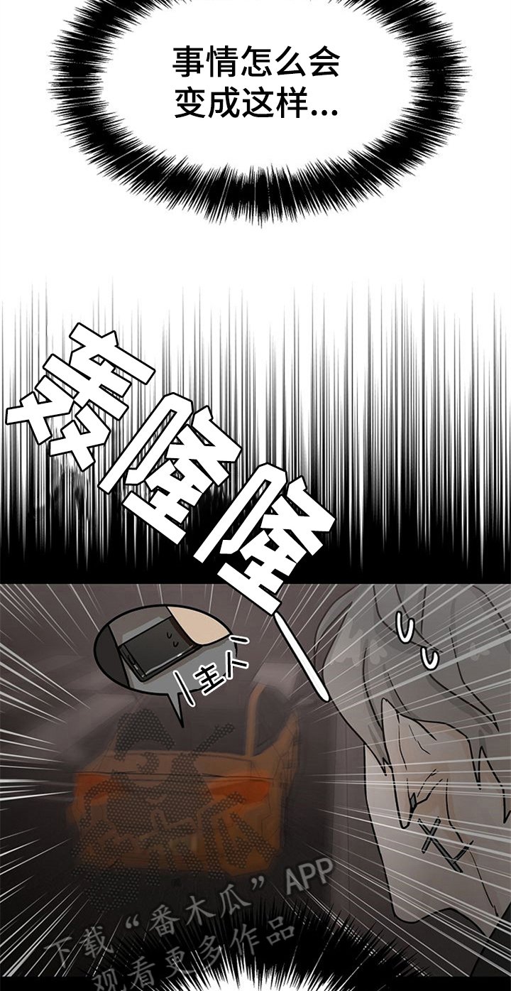 第19章：受伤