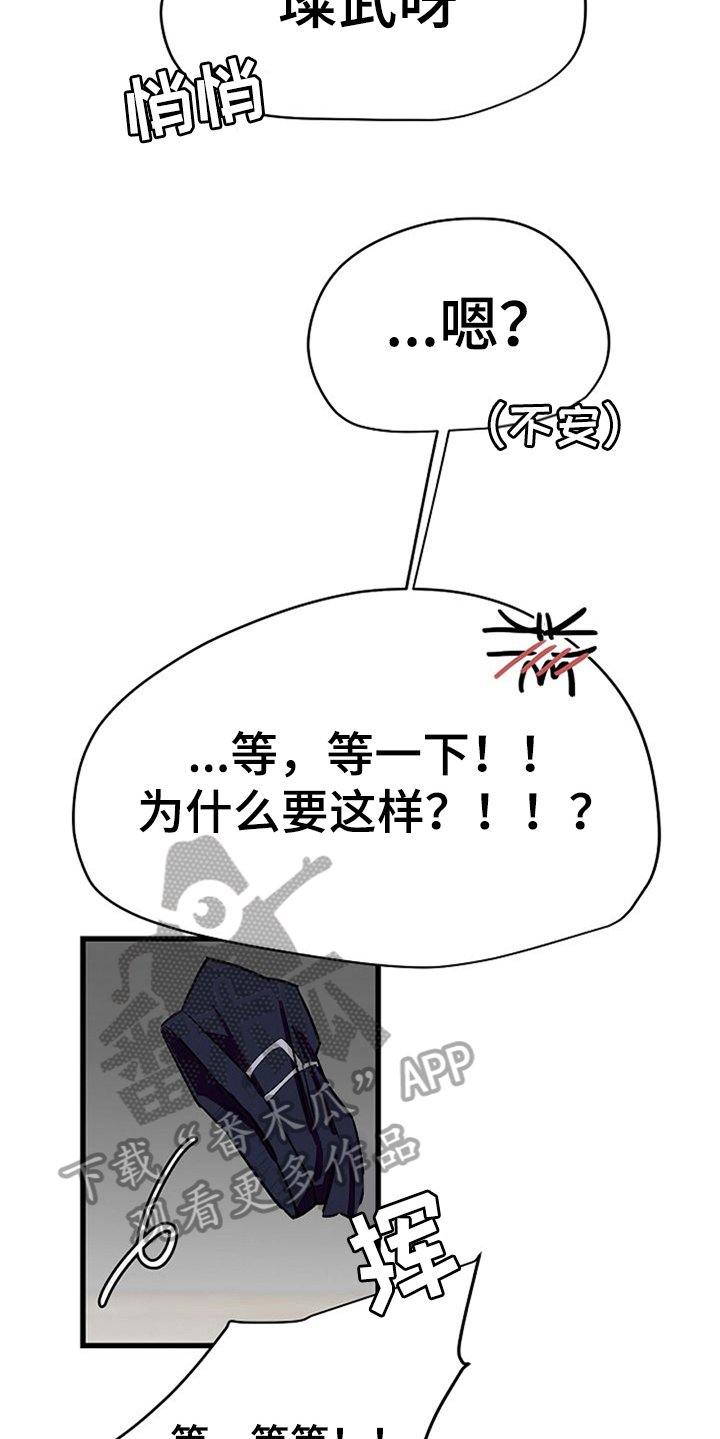 第28章：理由