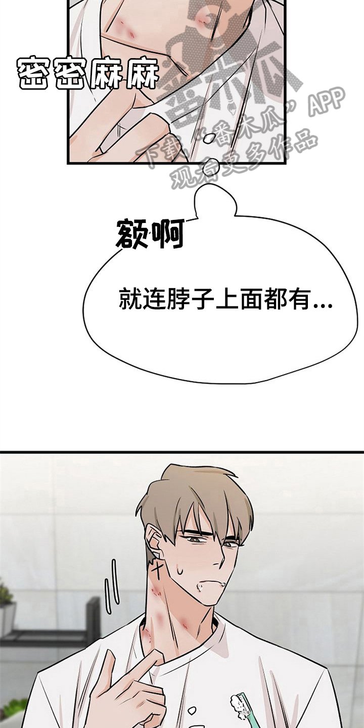 第28章：理由