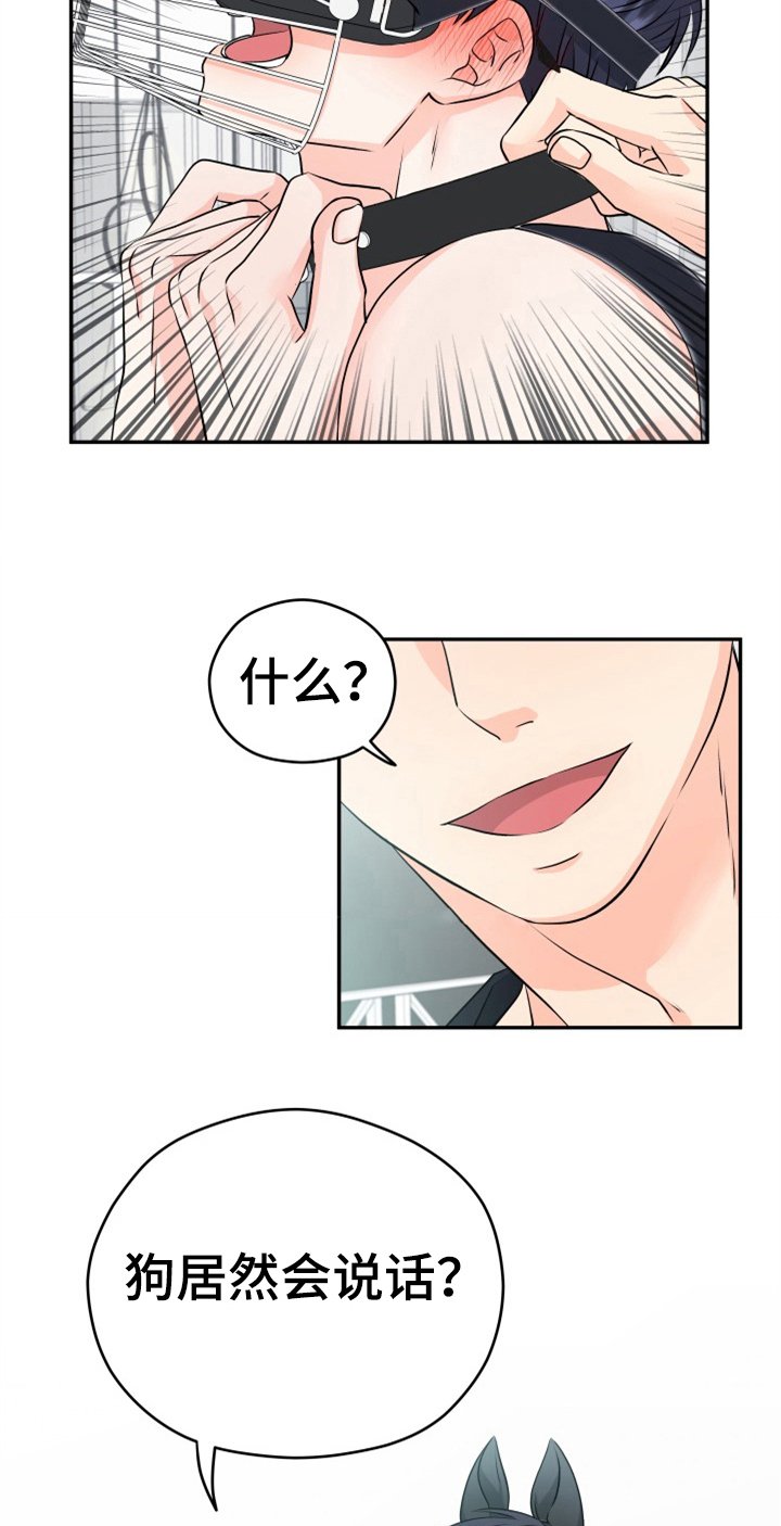 第7章：打扮