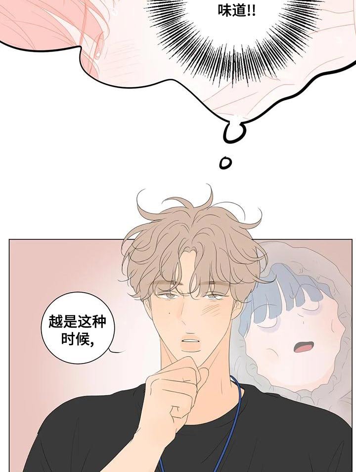 第13章：最高的称赞