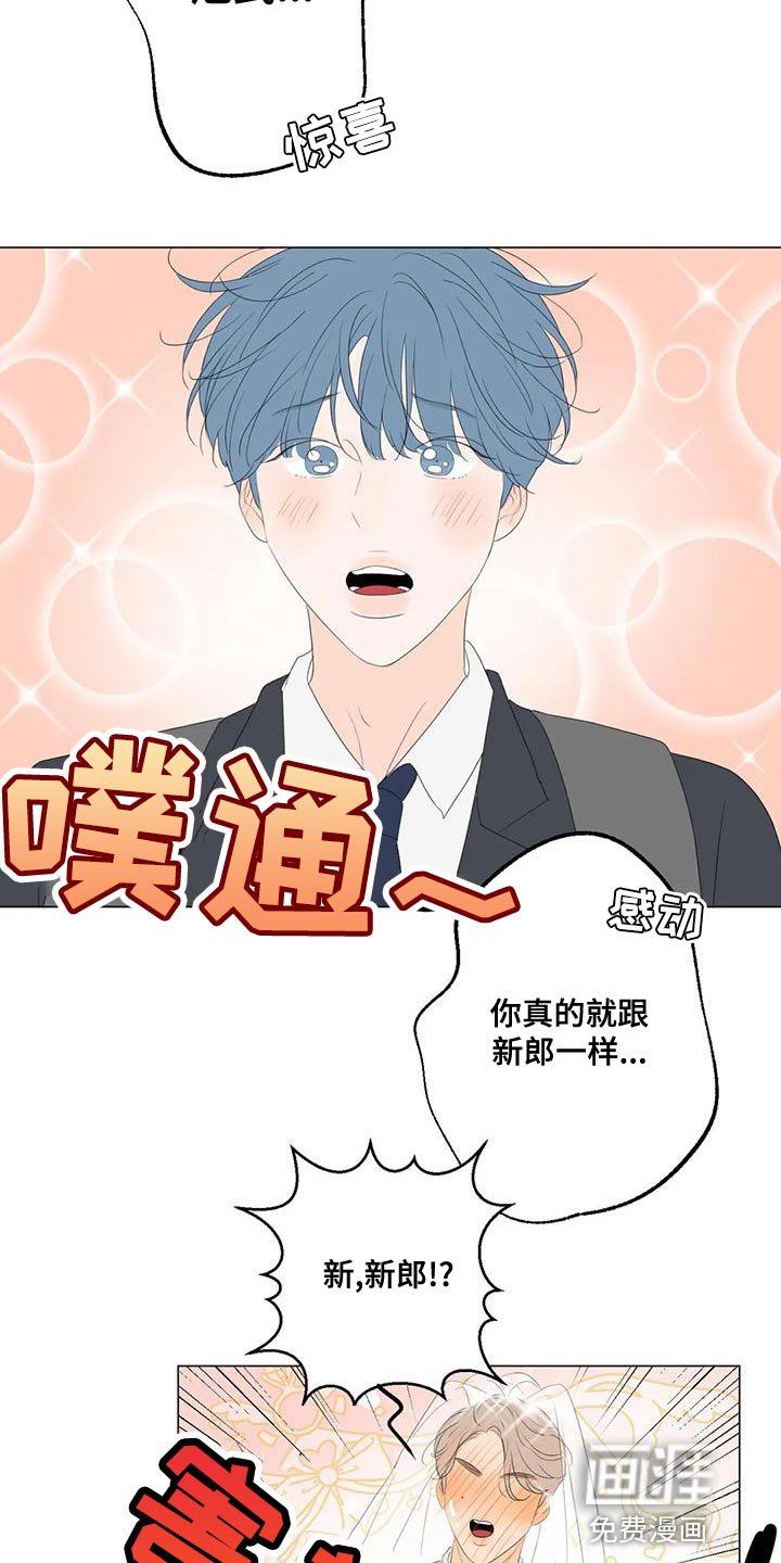 第13章：最高的称赞