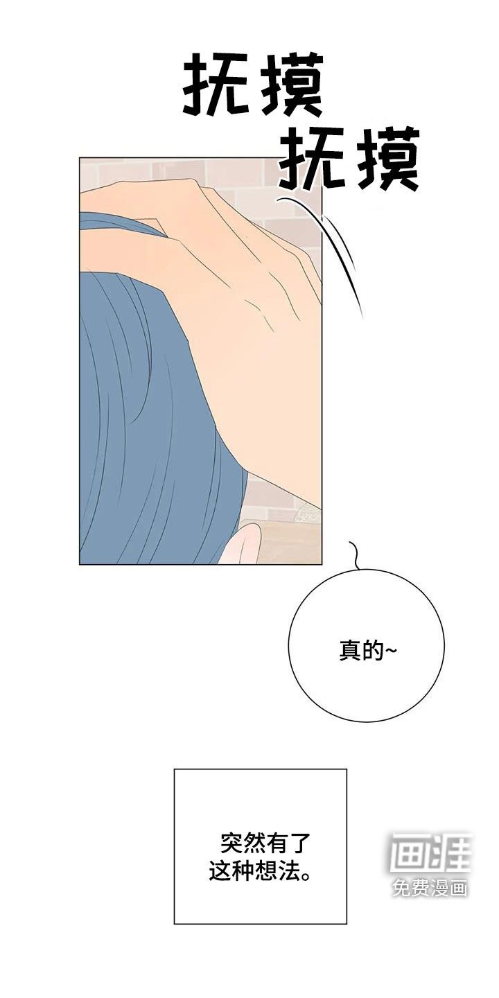 第14章：生日