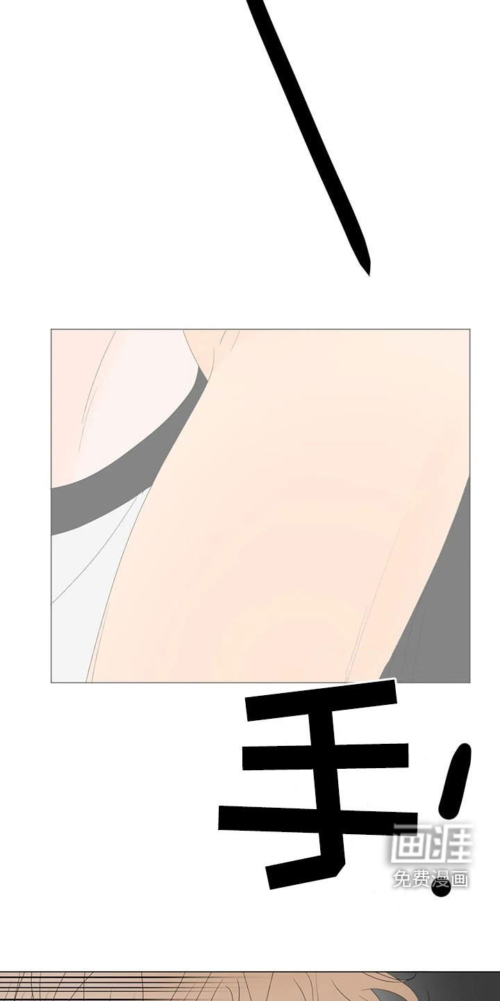 第15章：胡思乱想
