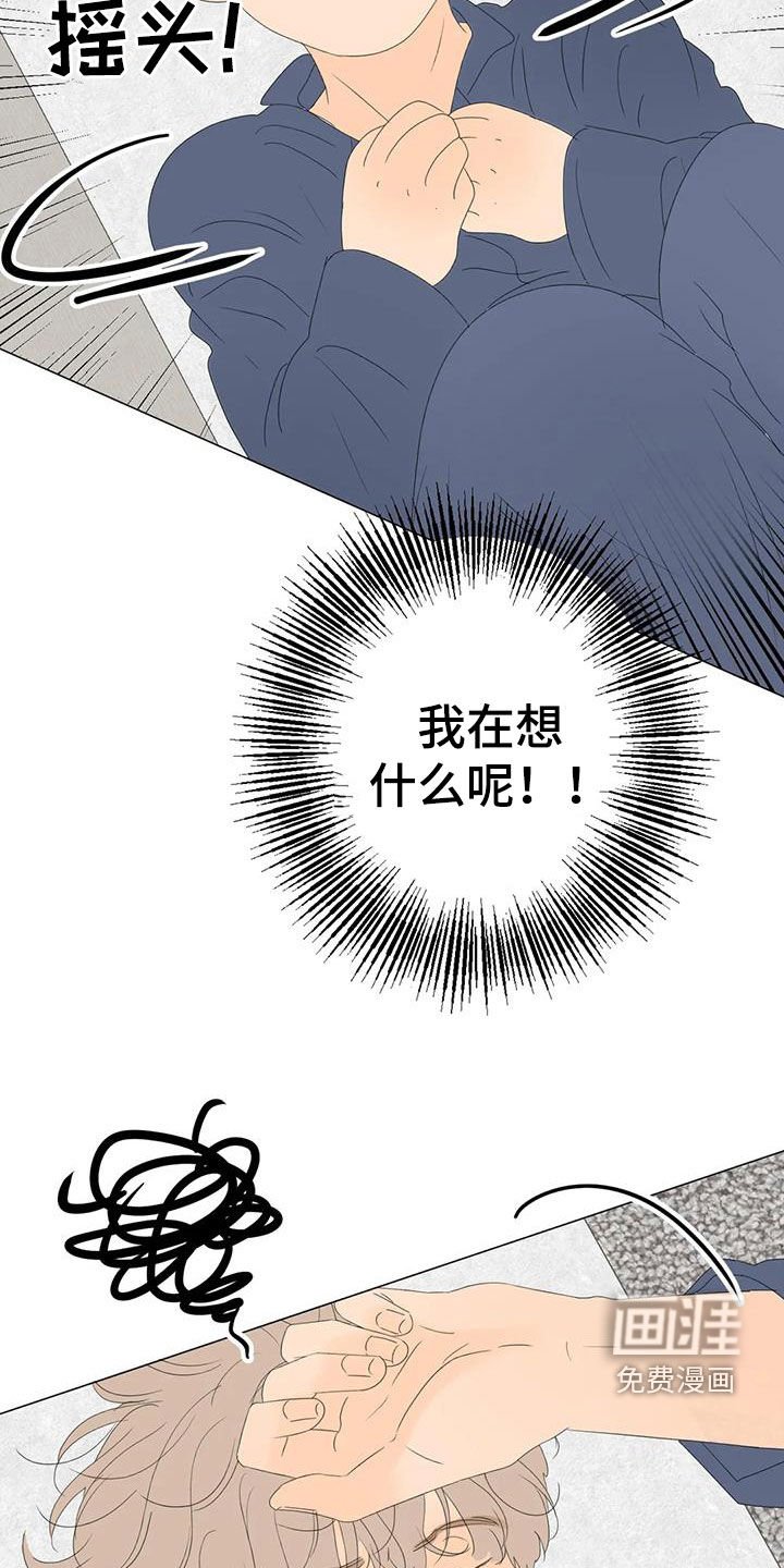 第15章：胡思乱想