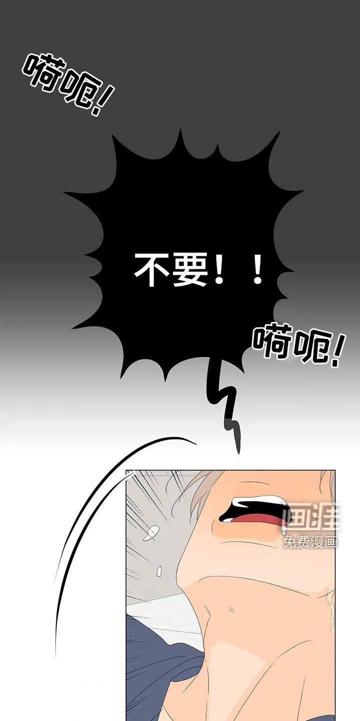 第16章：正在相爱（完结）