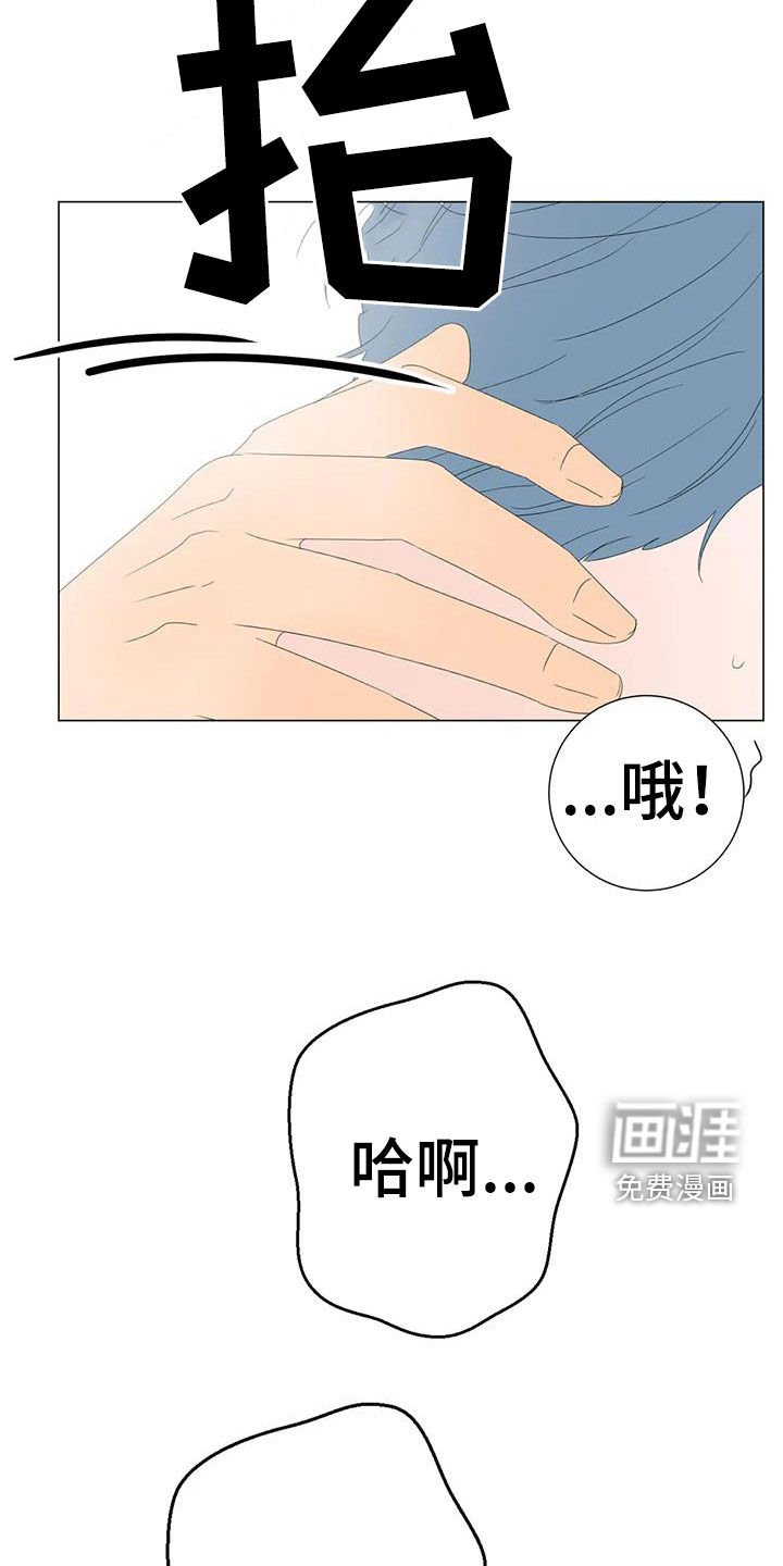 第16章：正在相爱（完结）