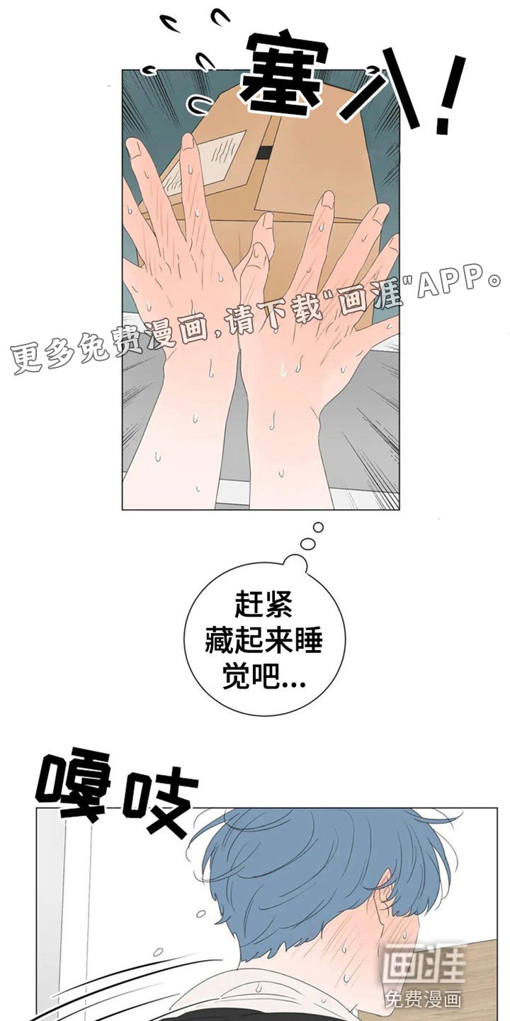 第8章：主动