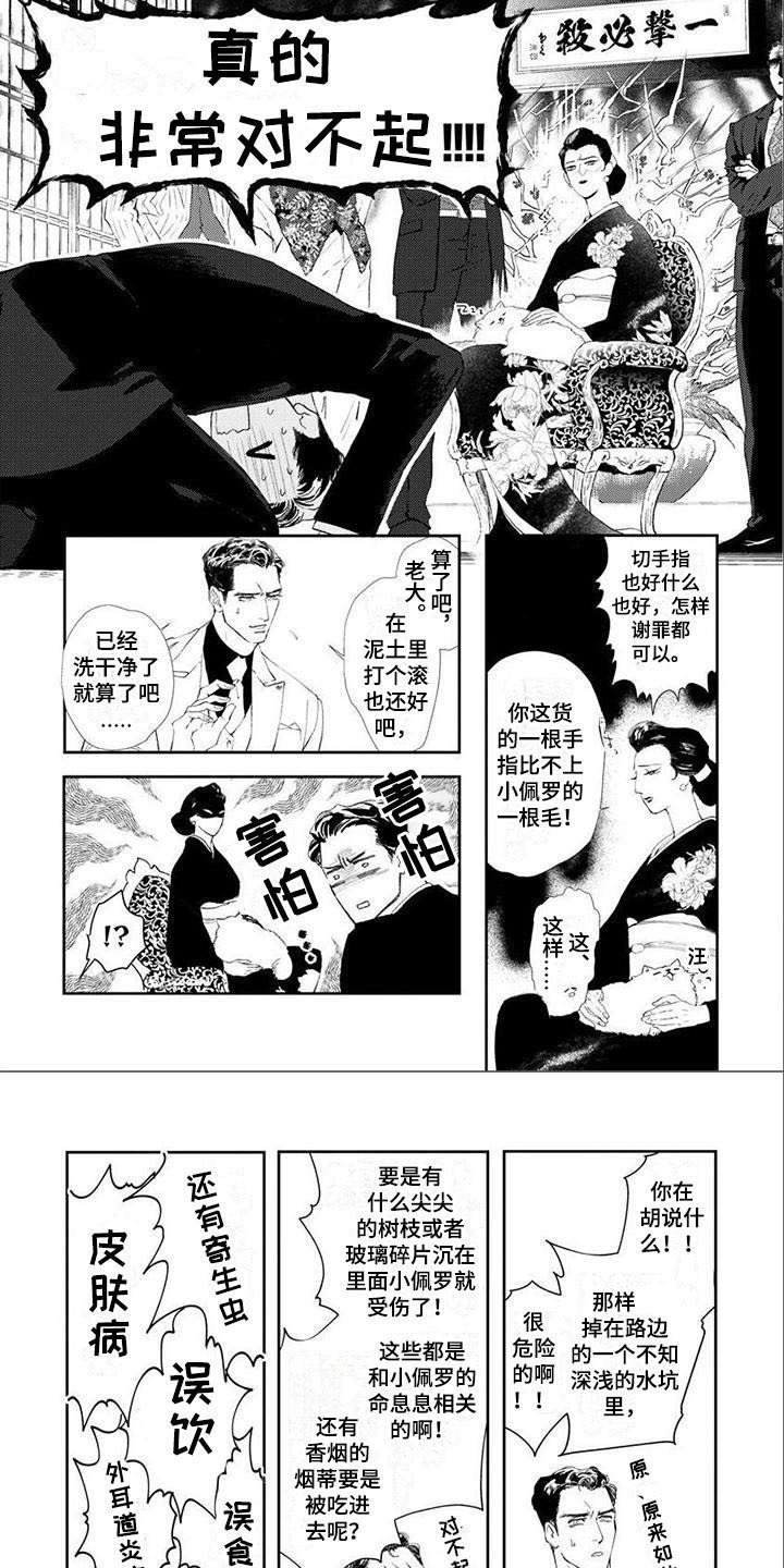 第1章：失误了