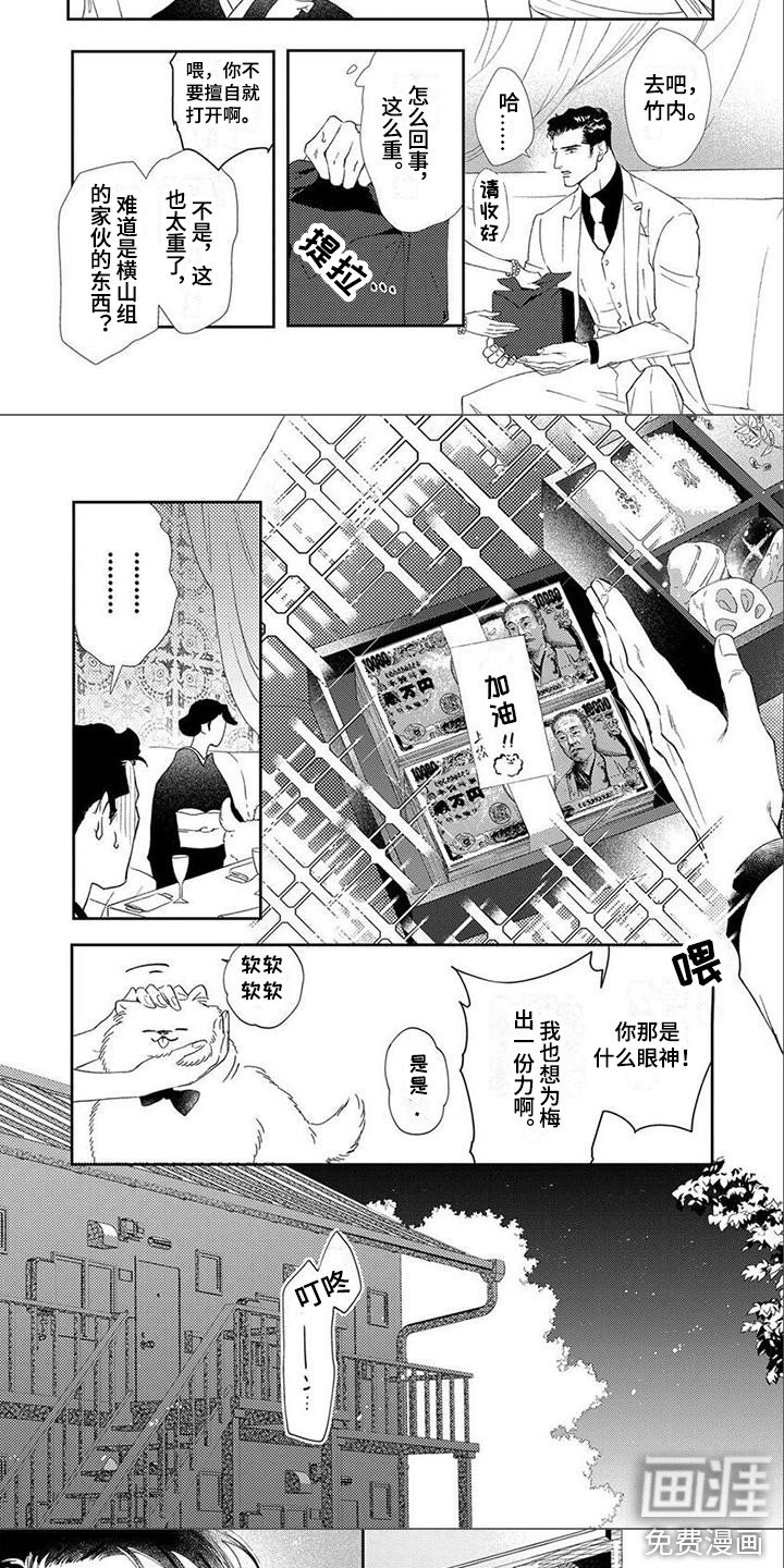 第10章：证明自己