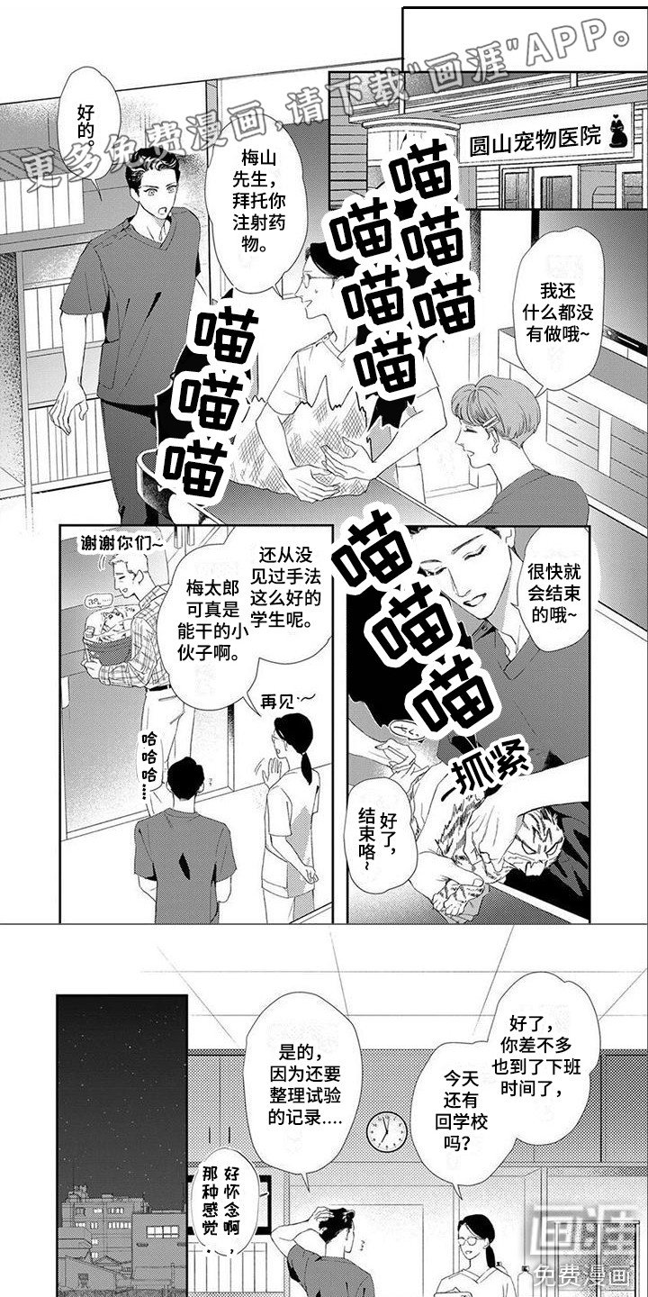 第13章：不后悔（完结）