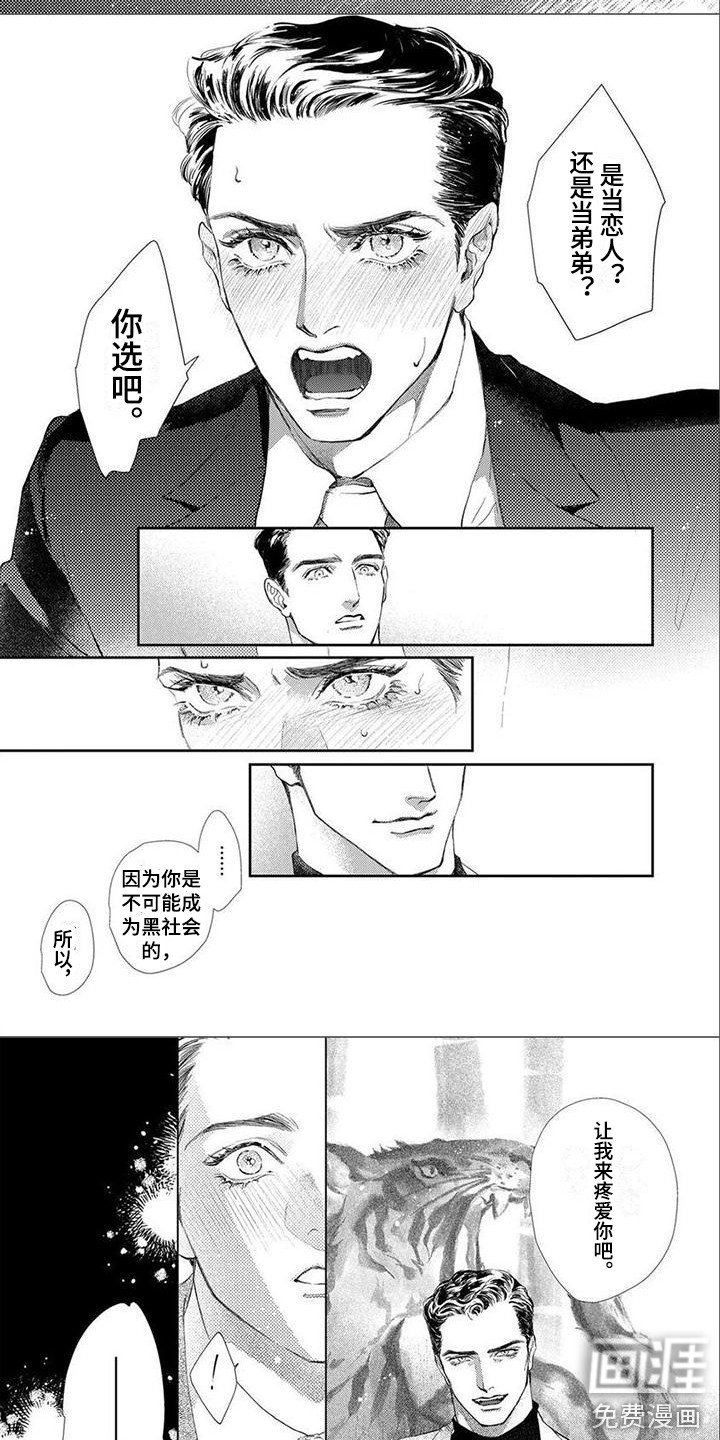 第4章：选择