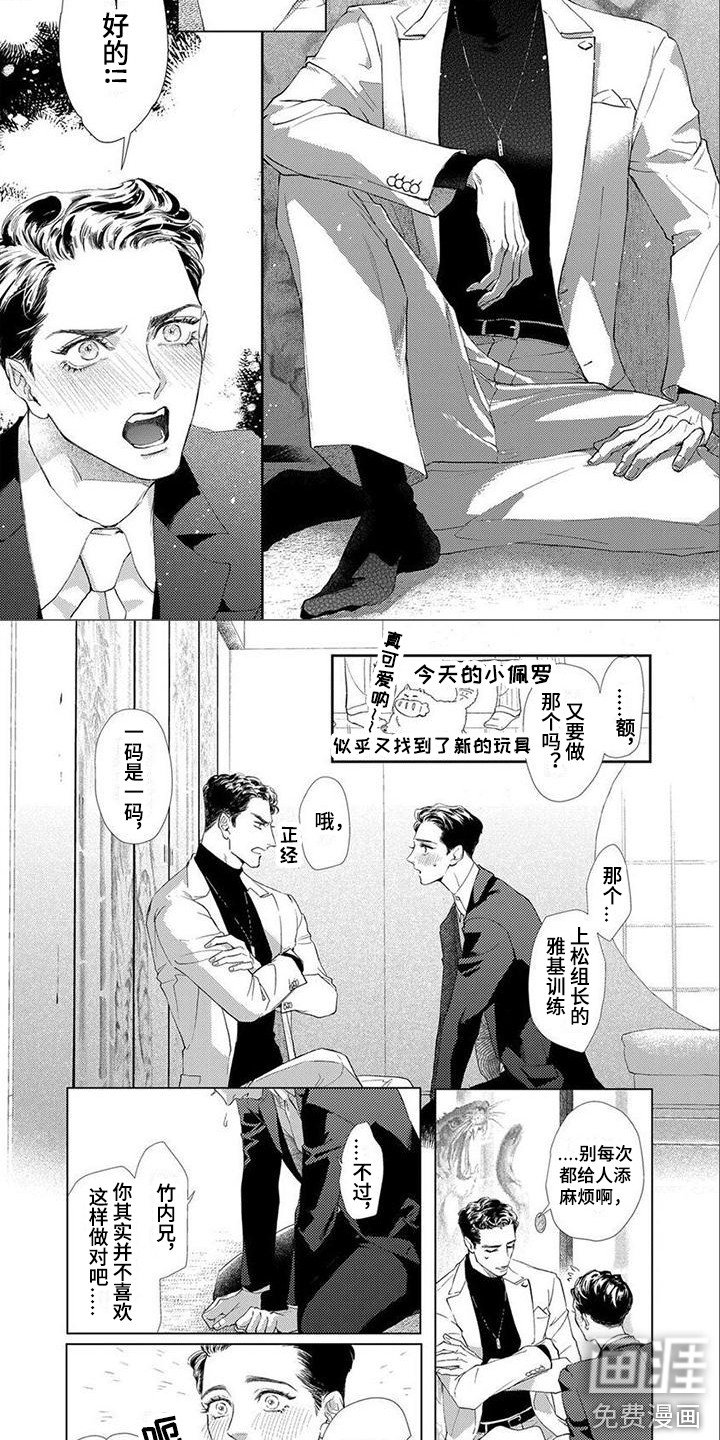 第4章：选择