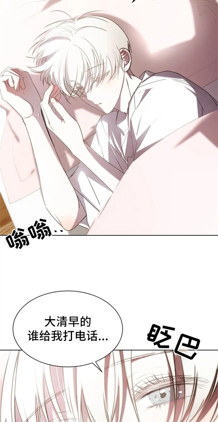第1章：调查